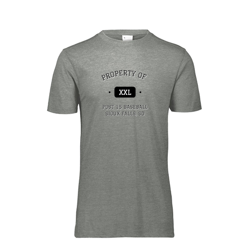 [FTSCUBGY-AS-LOGO1] Decker Men's Tri-Blend T-Shirt - Short Sleeve (Adult S, Gray, Logo 1)