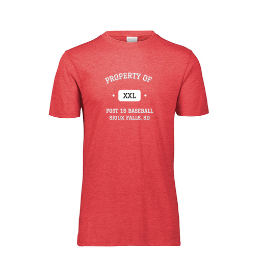 [FTSCUBRD-AS-LOGO2] Decker Men's Tri-Blend T-Shirt - Short Sleeve (Adult S, Red, Logo 2)