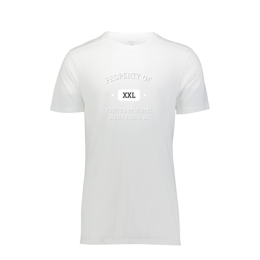 [FTSCUBWH-YS-LOGO2] Decker Youth Tri-Blend T-Shirt - Short Sleeve (Youth S, White, Logo 2)