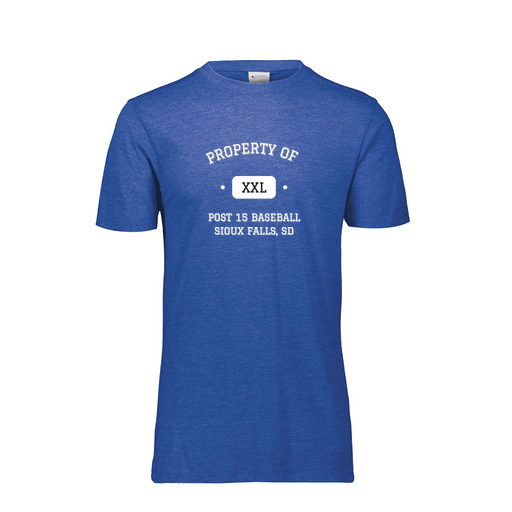 [FTSCUBRY-YS-LOGO2] Decker Youth Tri-Blend T-Shirt - Short Sleeve (Youth S, Royal, Logo 2)