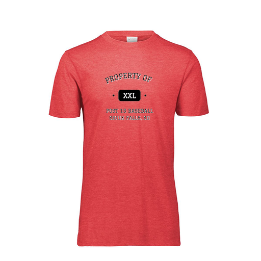 [FTSCUBRD-YS-LOGO1] Decker Youth Tri-Blend T-Shirt - Short Sleeve (Youth S, Red, Logo 1)